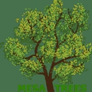 Mesa Trees - Tree Service