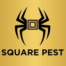 Square Pest - Pest Control Services