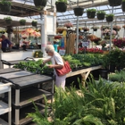 Jerrys Floral Shop-Greenhouses