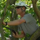 Hawthorne Brothers Tree Service, Inc. - Tree Service