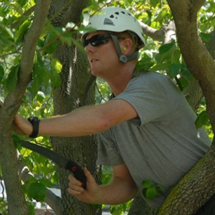 Hawthorne Brothers Tree Service, Inc. - Bedford Hills, NY