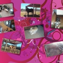Stephanie's Pet N' House Sitting - Pet Boarding & Kennels