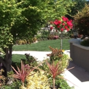 Rodriguez Home Services - Landscaping & Lawn Services