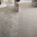 Royal Carpet Care - Carpet & Rug Cleaners