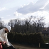 Carrier Metal Roofing gallery