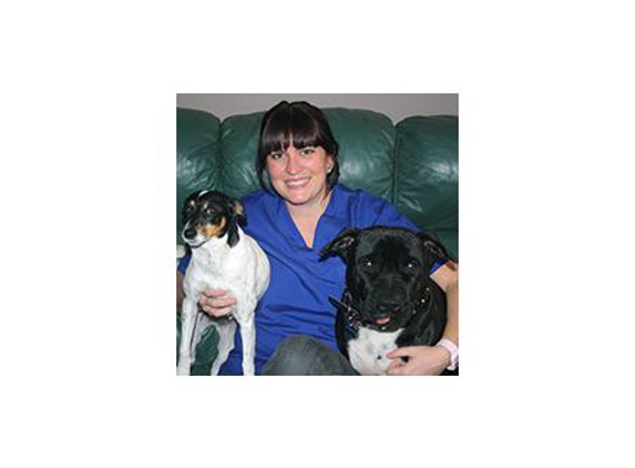 Earlwood Animal Hospital - Earlwood, NSW