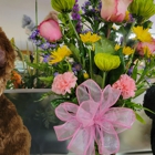 Floral Occasions and Event Rental