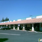 La Belle Orange Blossom Florists