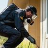 Pest N Peace Pest Control gallery