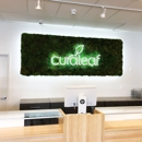 Curaleaf Dispensary Jacksonville - Herbs