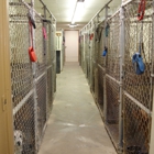 Busch's Kennel