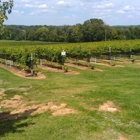 Arrington Vineyards