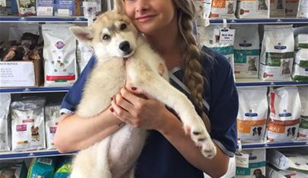 North Randwick Veterinary Clinic - Randwick, ACT. Claudia Dilorenzo