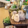 Wood's Nursery & Garden Store gallery