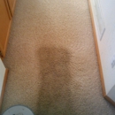 King Organic Carpet Care - Carpet & Rug Cleaners