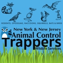 Animal Control NY/NJ - Animal Removal Services