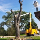 4 B's Lawn Care & Tree Service