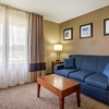 Comfort Inn & Suites gallery