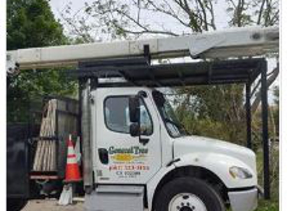 General  Tree Service - Bakersfield, CA