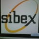 Sibex