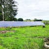Green Ridge Solar gallery