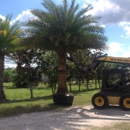 Florida Plant And Tree - Landscape Contractors