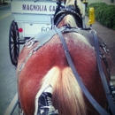Carriage Tours of Savannah - Sightseeing Tours