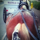 Carriage Tours of Savannah