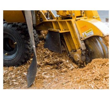 All About Tree Services QLD - Elanora, QLD