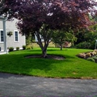 Mike's Landscape Service