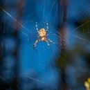 United Pest & Turf Control - Pest Control Equipment & Supplies