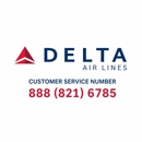Delta Air Lines - Airlines