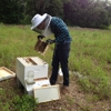 Orchard Pond Organics gallery