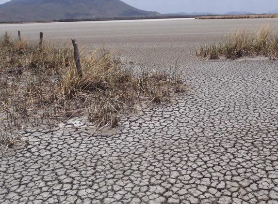 Biodiversity Assessment & Management - Cleveland, QLD
