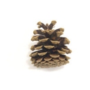 Kelco Industries - Holiday Lights & Decorations
