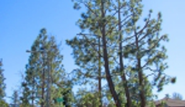 Treeline Tree Service - Santee, CA