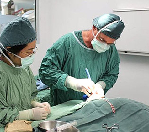 East Bundaberg Veterinary Hospital - Bundaberg East, QLD