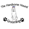 The Handsome Hound gallery