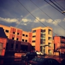 Photo #41