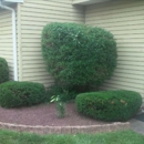 CICCO'S Landscaping & Design - Landscape Contractors