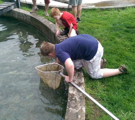 Carpenter's Brook Fish Htchry - Elbridge, NY