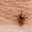A & M Pest & Termite Control - Pest Control Equipment & Supplies