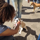 Alameda See Spot Run - Pet Stores