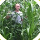 Green Acres Cover Crops