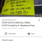 A Meadows Commercial
