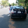 Photo #41