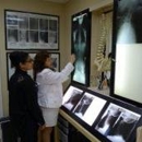 Better Life Chiropractic - Chiropractors & Chiropractic Services
