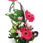 Elkton Florist