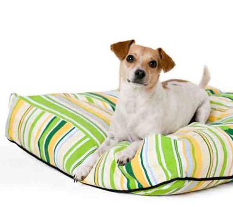 Dogs To Bed - West Wodonga, VIC