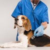 Topanga Veterinary Clinic gallery